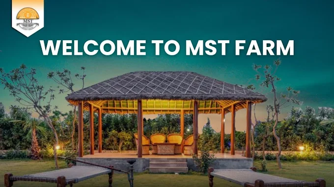 MST Farm And Resort: Best Farmhouse & Resort Experience In Ghaziabad